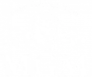 metro golden mayer